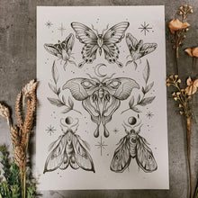 Load image into Gallery viewer, MOTHS print
